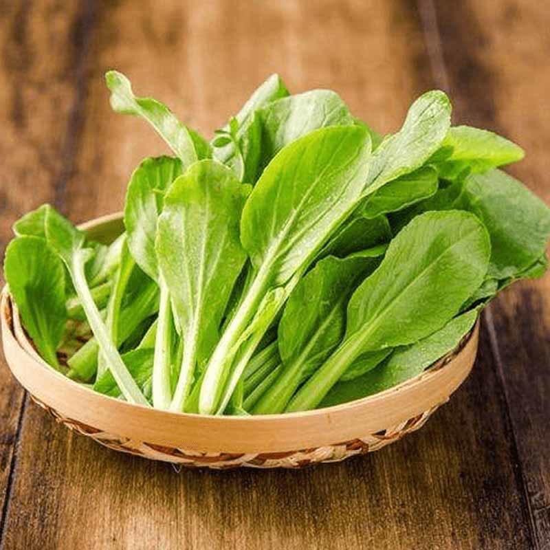 宿迁食材批发